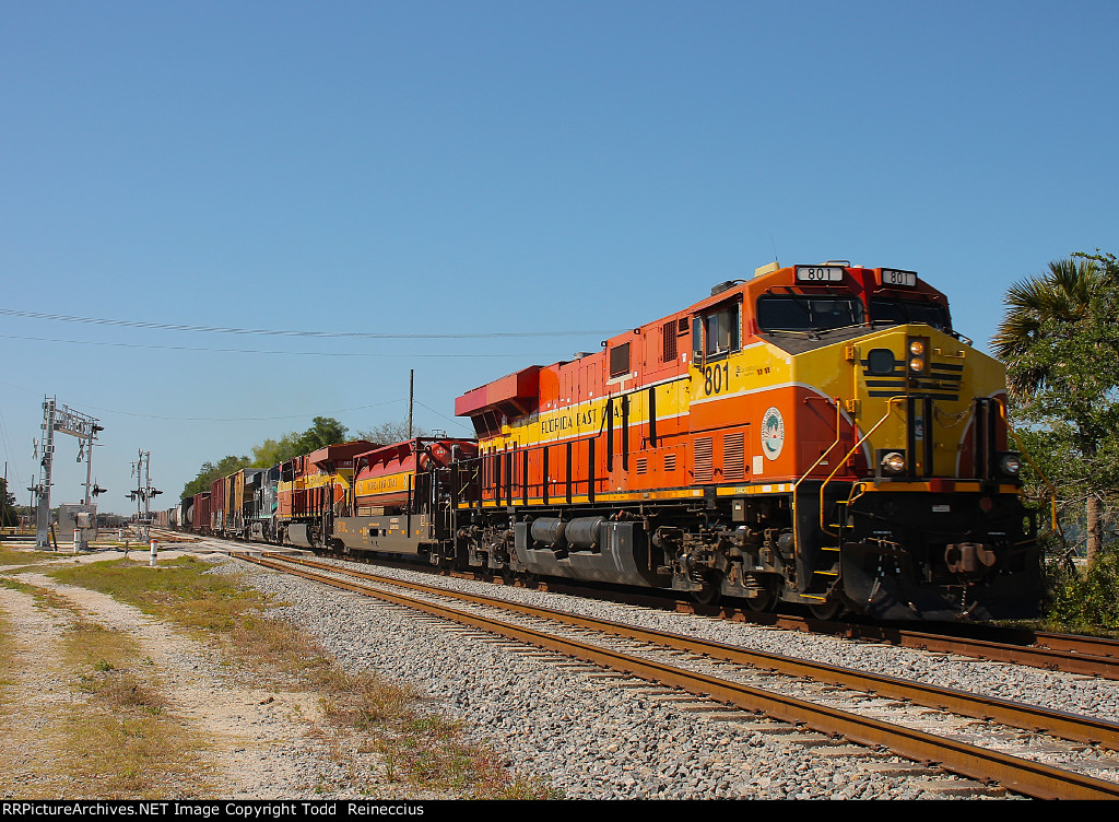 FEC 801